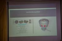 A demo slide on the workings of the workings of the Warning Alarm for the Flood Early Warning System